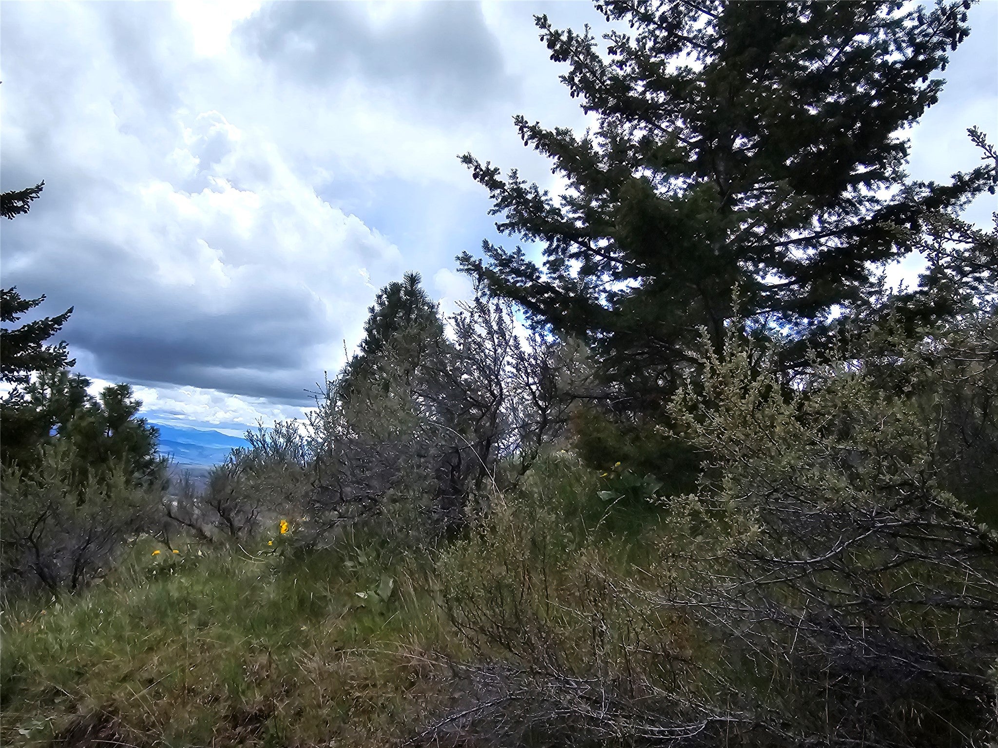 18866 Copper Rdg Trail Florence, MT 59833 - Photo 66 of 139 Gallery Image 66