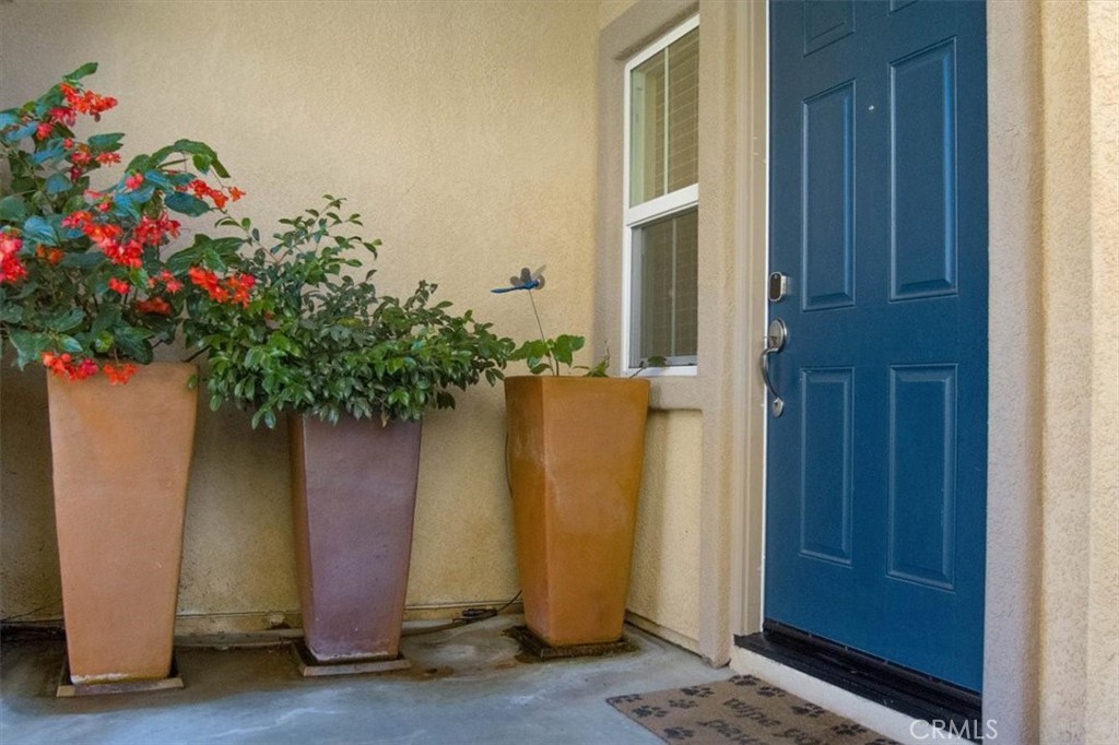 1213 Meridian Way Lompoc, CA 93436 - Photo 9 of 37 a potted plant sitting in front of a door