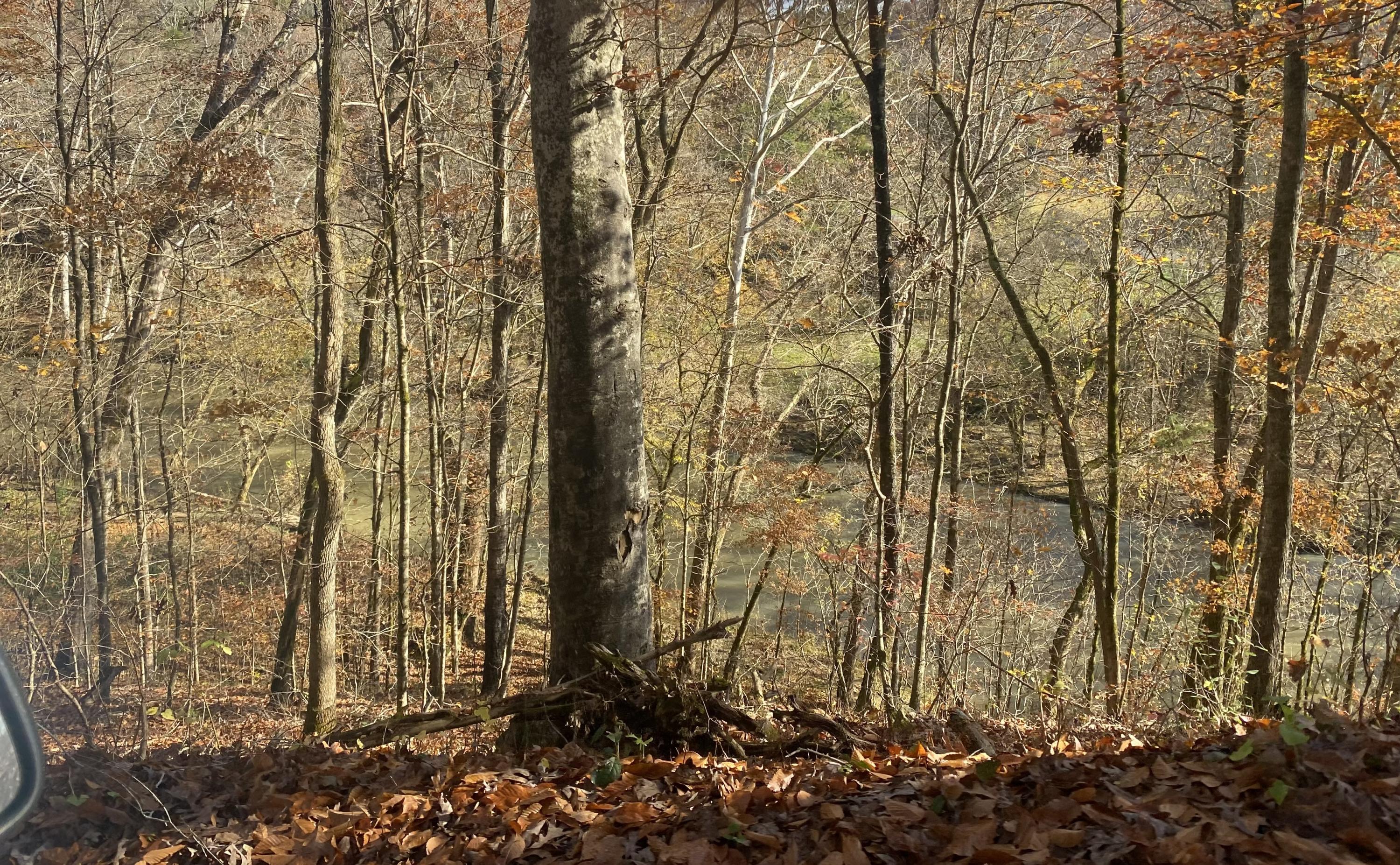 Big Sewee Road Decatur, TN 37322 - Photo 2 of 14 Creek