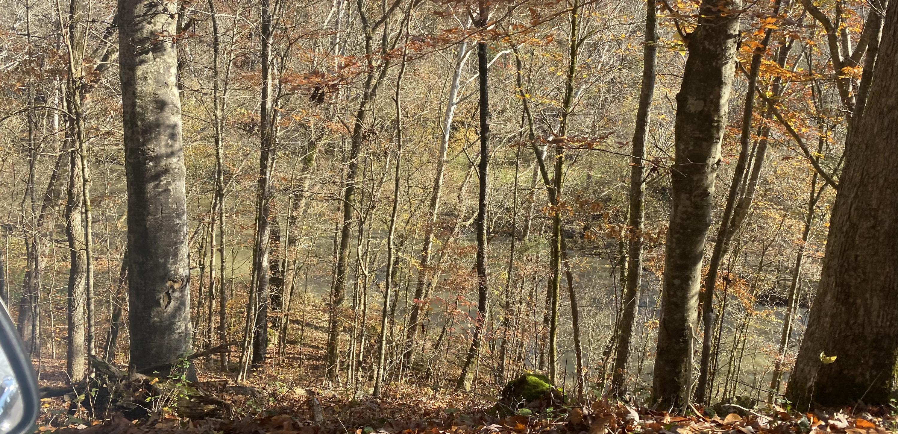 Big Sewee Road Decatur, TN 37322 - Photo 3 of 14 Creek