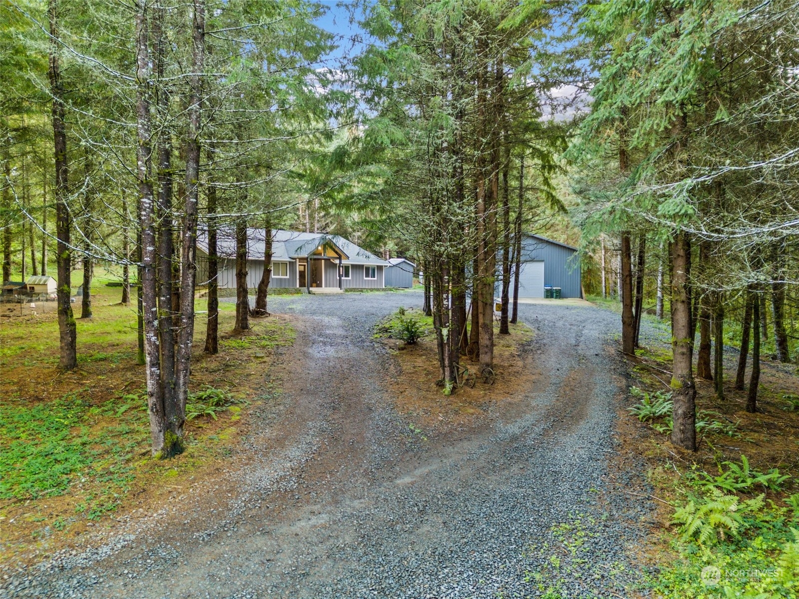 161 Spooner Road Chehalis, WA 98532 - Photo 3 of 39 a view of a yard with plants and trees