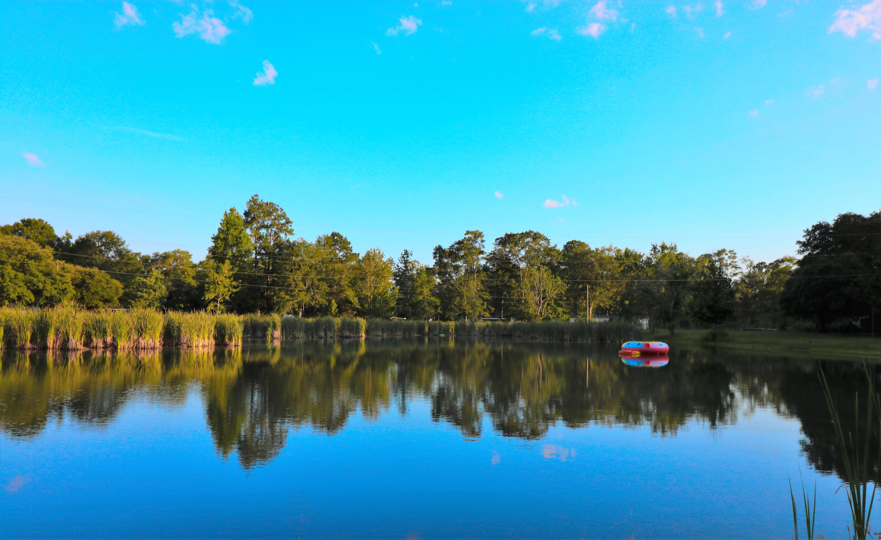 3448 Spool Mill Road Vernon, FL 32462 - Photo 1 of 22 Your private lake!
