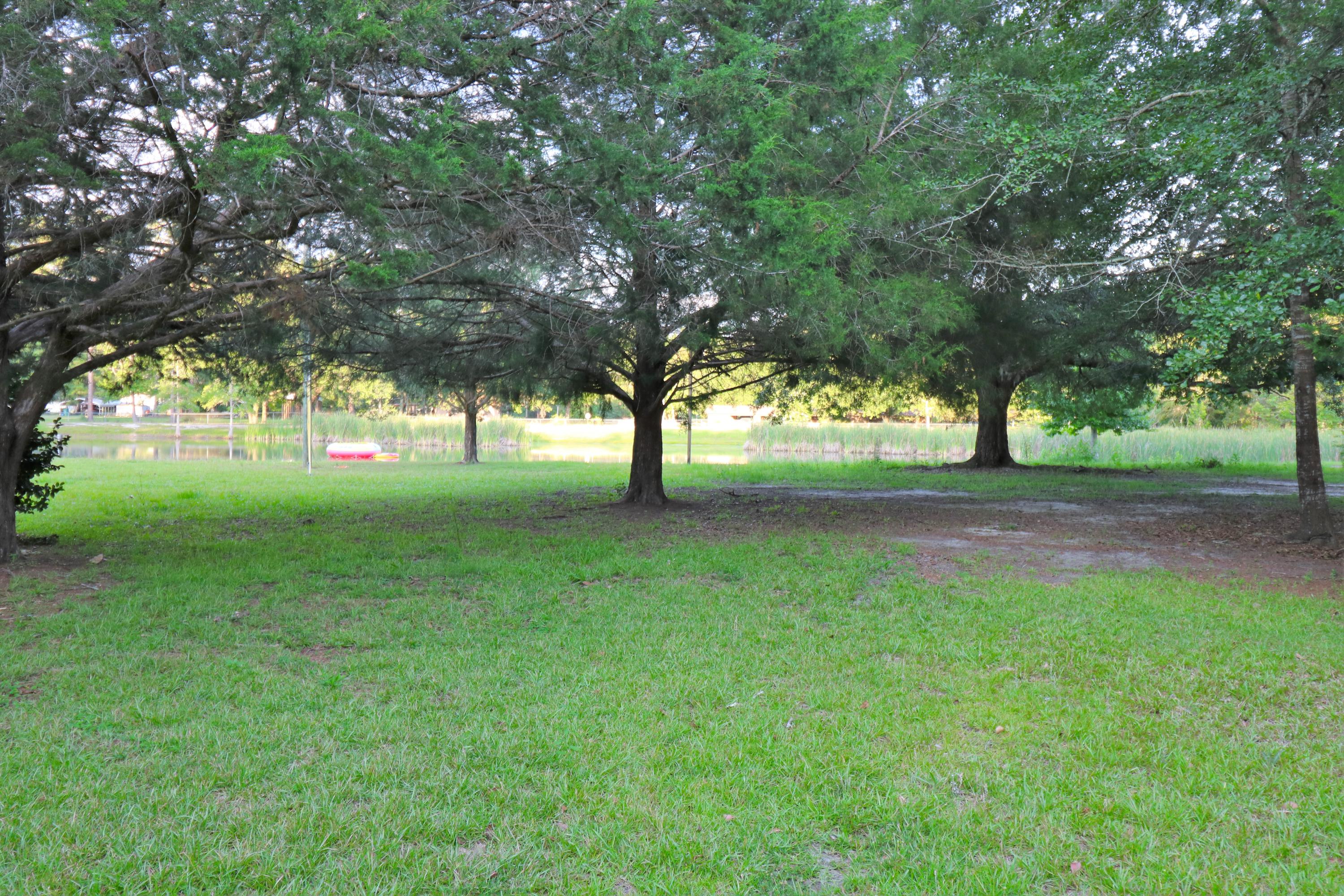 3448 Spool Mill Road Vernon, FL 32462 - Photo 20 of 22 Yard