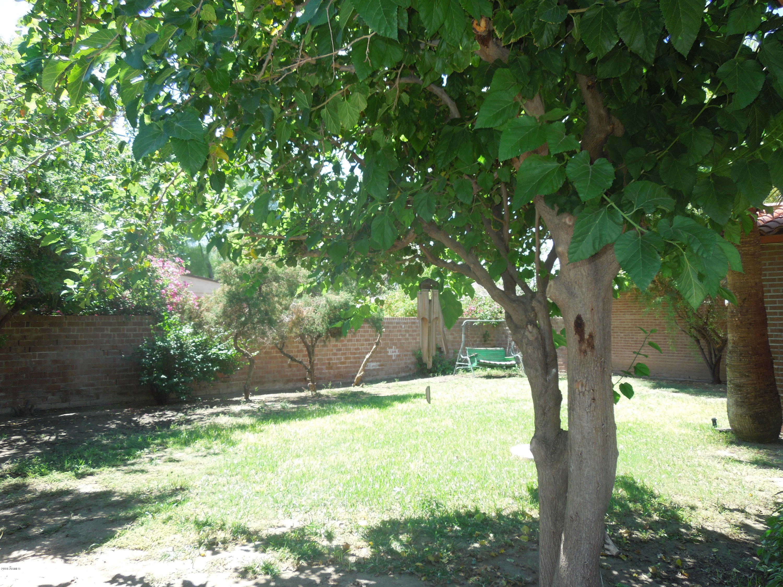 1129 West Thomas Road Phoenix, AZ 85007 - Photo 30 of 36 DSCN5854