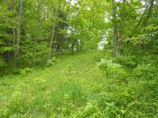 11052 Frankfort Road Waddy, KY 40076 - Photo 5 of 8 Photo 5