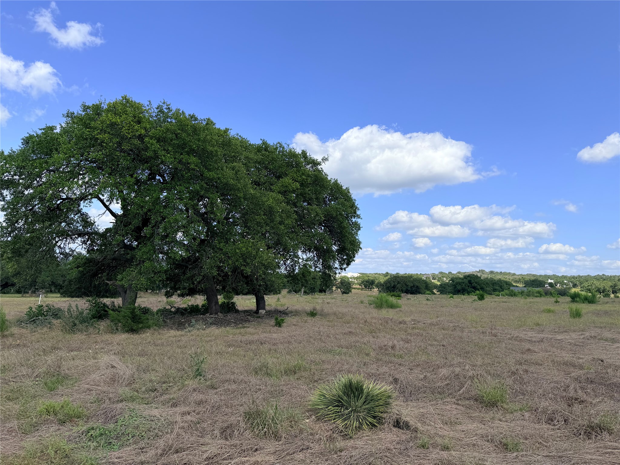 485 Inspiration Loop Comfort, TX 78013 - Photo 8 of 22 Vast open spaces with mature trees beckon for a new homestead under the big sky.