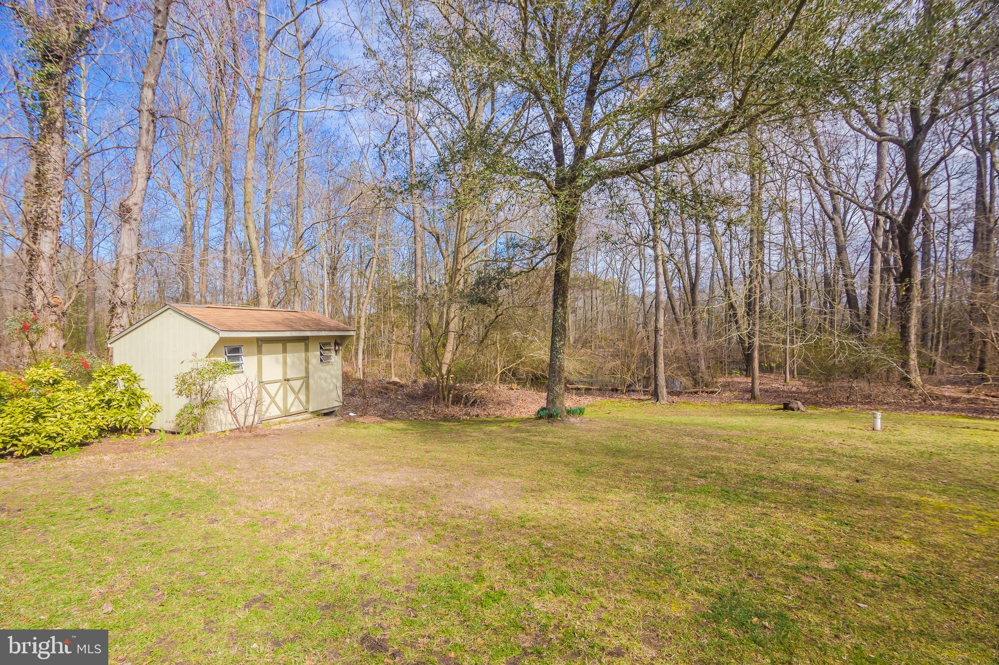 3387 Allen Road Eden, MD 21822 - Photo 58 of 67 a view of a house with a yard and large trees