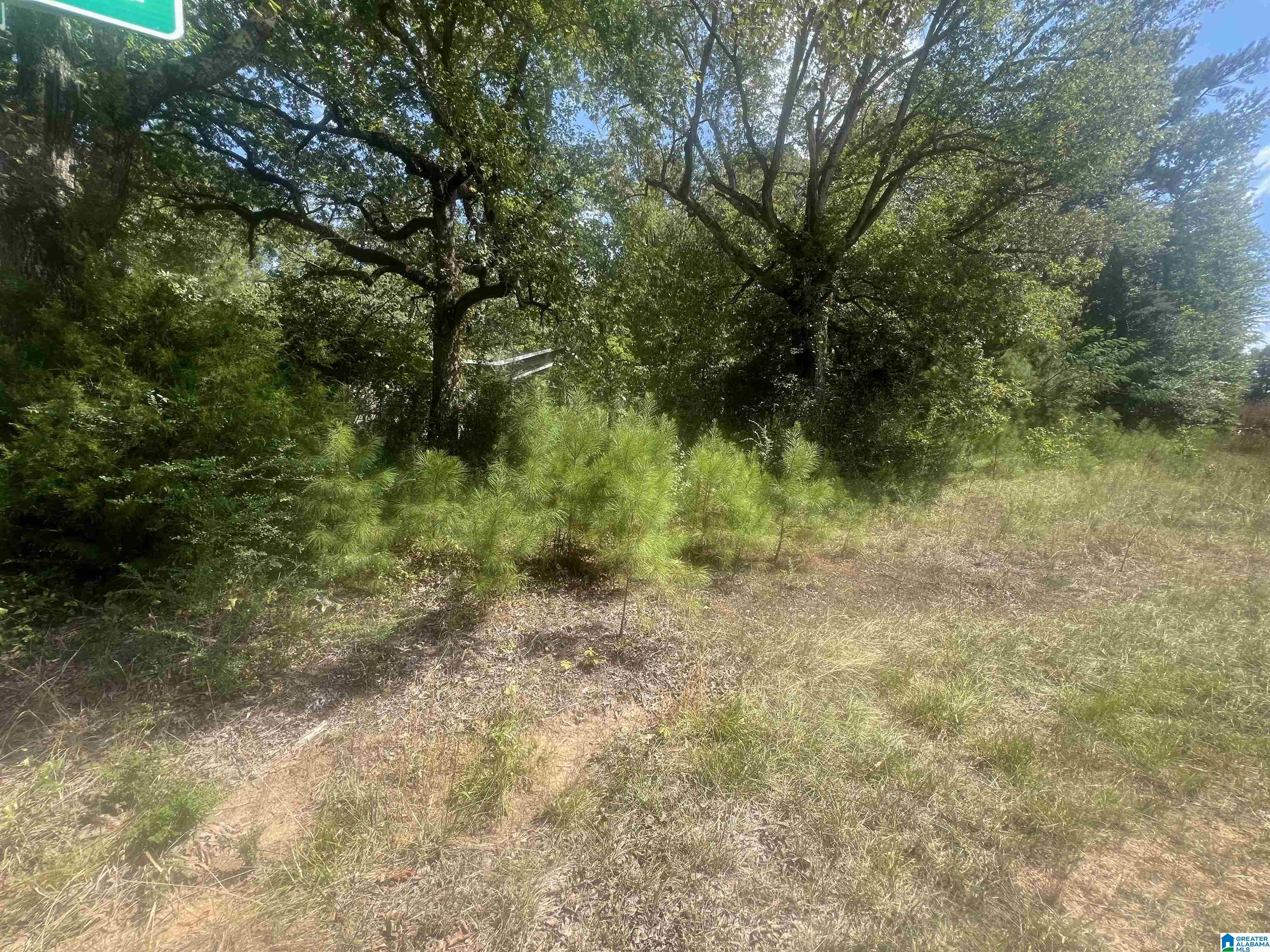 611 Redstone Camp Road Adger, AL 35006 - Photo 1 of 4