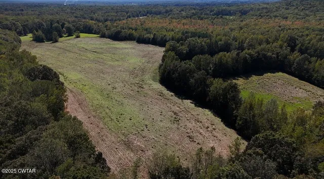 a view of a dry yard