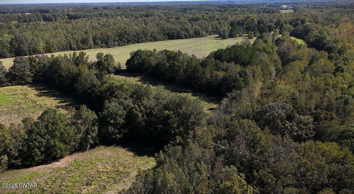 0 Guthrie Road Paris, TN 38242 - Photo 12 of 26 a view of a lot of trees and bushes