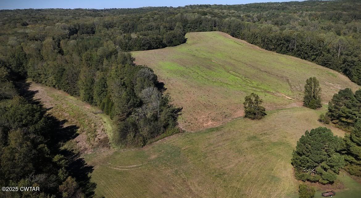 0 Guthrie Road Paris, TN 38242 - Photo 13 of 26 a view of a backyard of a house