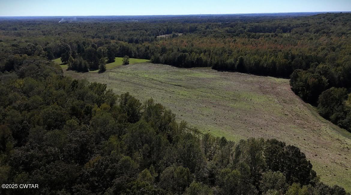 0 Guthrie Road Paris, TN 38242 - Photo 14 of 26 a view of a lake with a mountain
