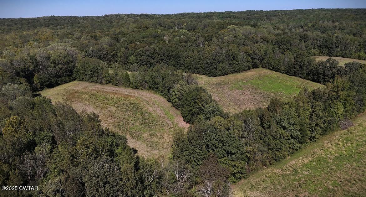 0 Guthrie Road Paris, TN 38242 - Photo 15 of 26 a view of a dry yard