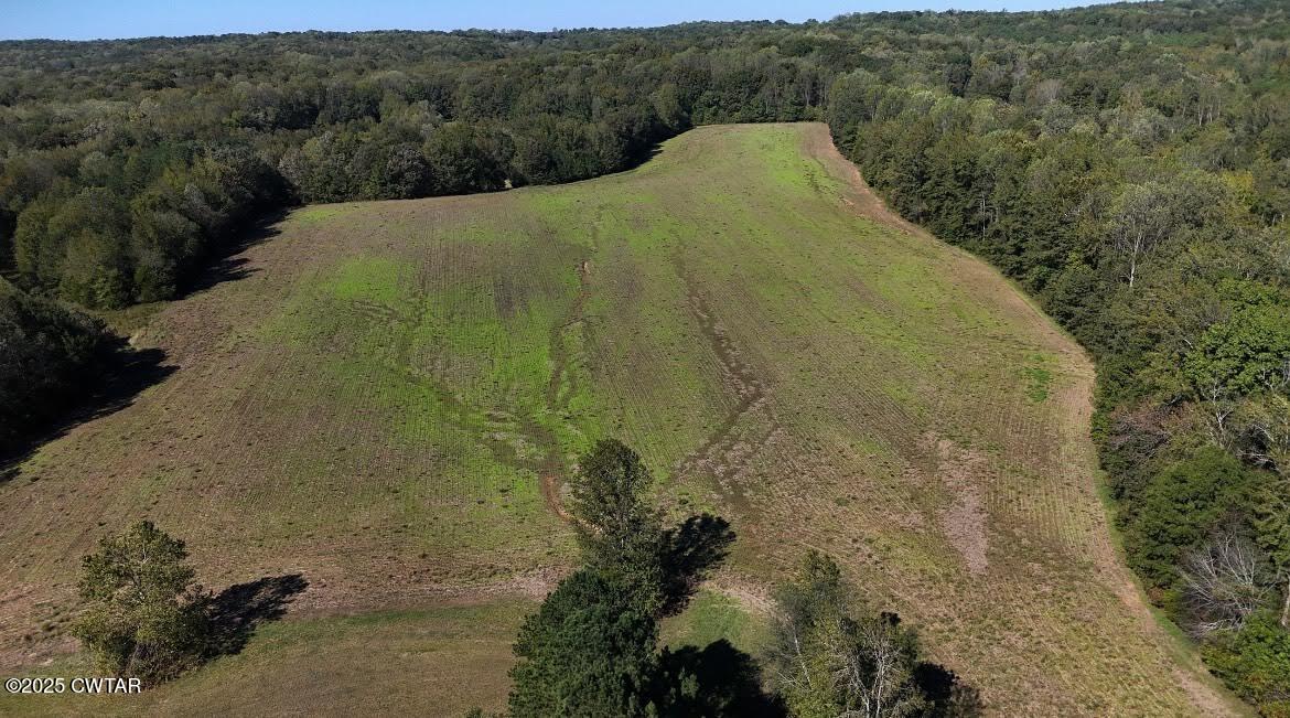 0 Guthrie Road Paris, TN 38242 - Photo 16 of 26 a view of a big yard