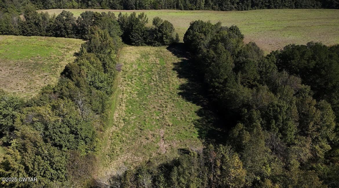 0 Guthrie Road Paris, TN 38242 - Photo 2 of 26 a view of a lake with a yard