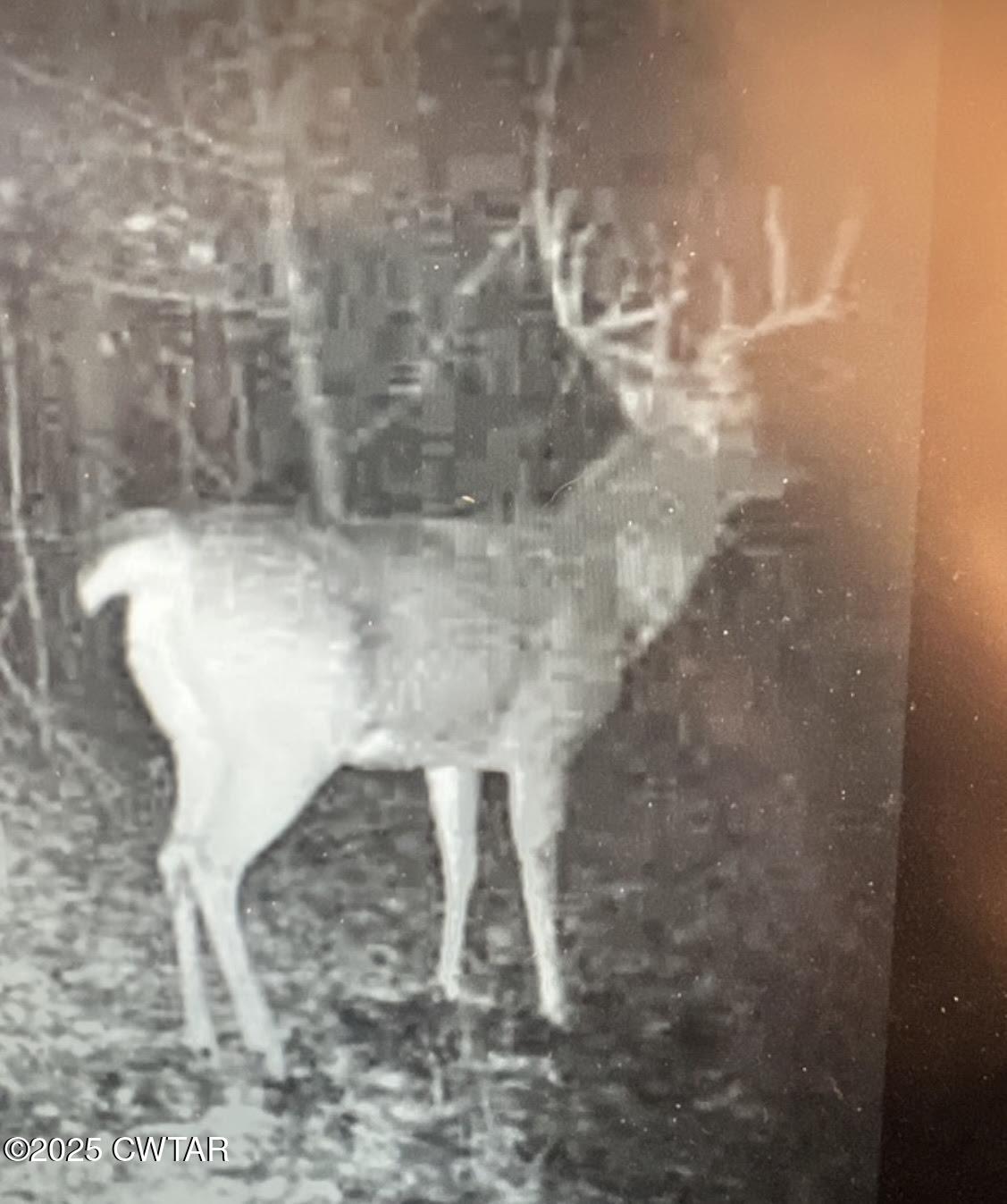 0 Guthrie Road Paris, TN 38242 - Photo 22 of 26