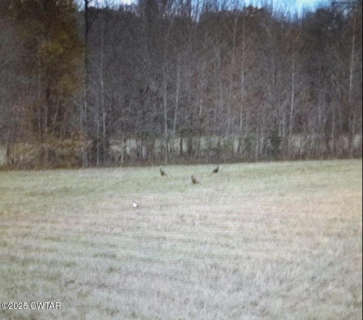 0 Guthrie Road Paris, TN 38242 - Photo 25 of 26 a view of room with floor