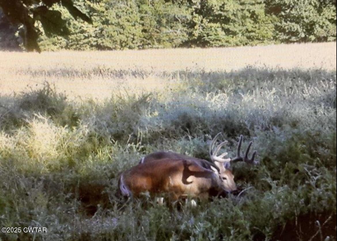 0 Guthrie Road Paris, TN 38242 - Photo 26 of 26 a view of lake with green space