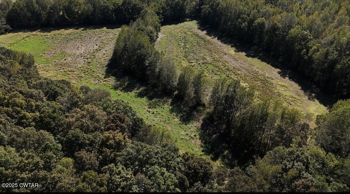 0 Guthrie Road Paris, TN 38242 - Photo 3 of 26 a view of a forest that has a tree