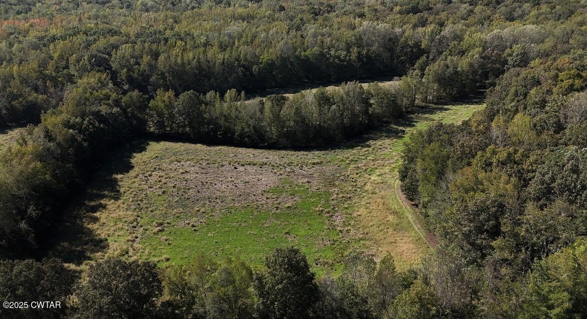 0 Guthrie Road Paris, TN 38242 - Photo 4 of 26 a view of a yard