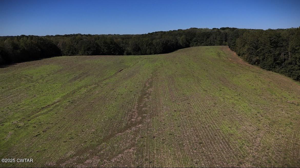 0 Guthrie Road Paris, TN 38242 - Photo 5 of 26 a view of a yard