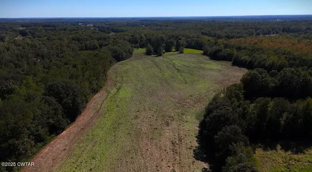 a view of a yard with a street