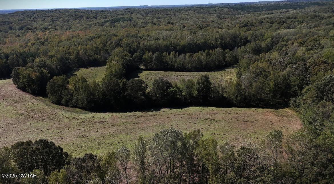 0 Guthrie Road Paris, TN 38242 - Photo 9 of 26 a view of outdoor space and yard