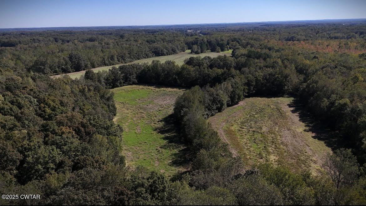 0 Guthrie Road Paris, TN 38242 - Photo 10 of 26 a view of a yard