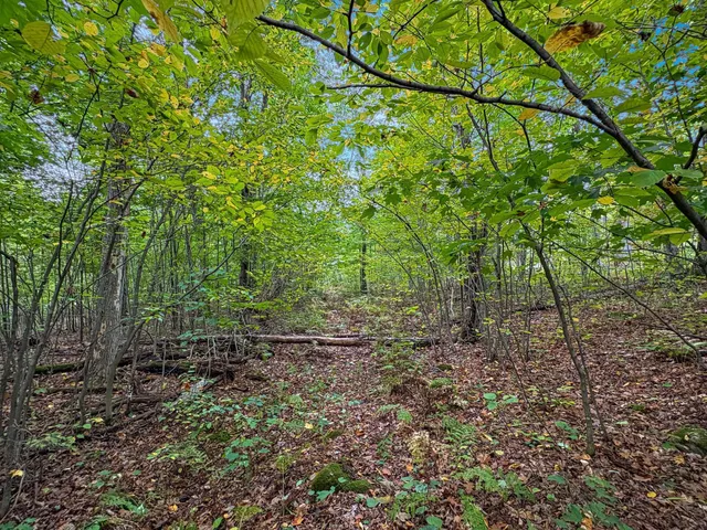 $120,000 | Tbd Bean Brk Lane, Stone Lake, WI 54876