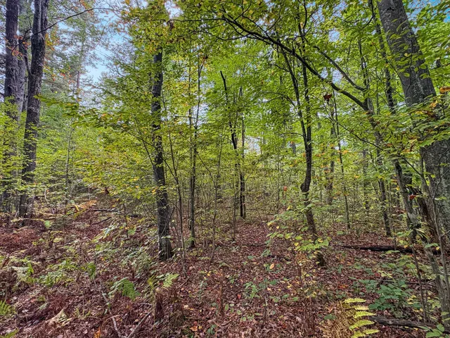 $120,000 | Tbd Bean Brk Lane, Stone Lake, WI 54876