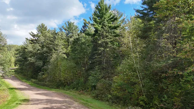 $120,000 | Tbd Bean Brk Lane, Stone Lake, WI 54876