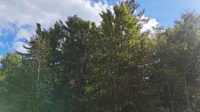 $120,000 | Tbd Bean Brk Lane, Stone Lake, WI 54876