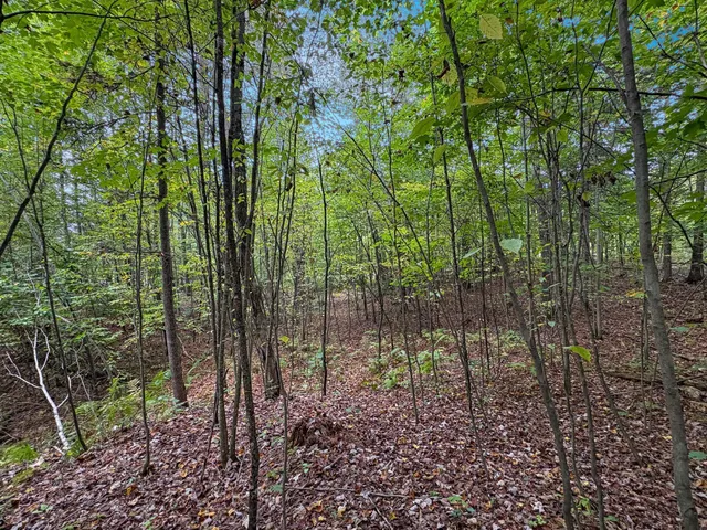 $120,000 | Tbd Bean Brk Lane, Stone Lake, WI 54876