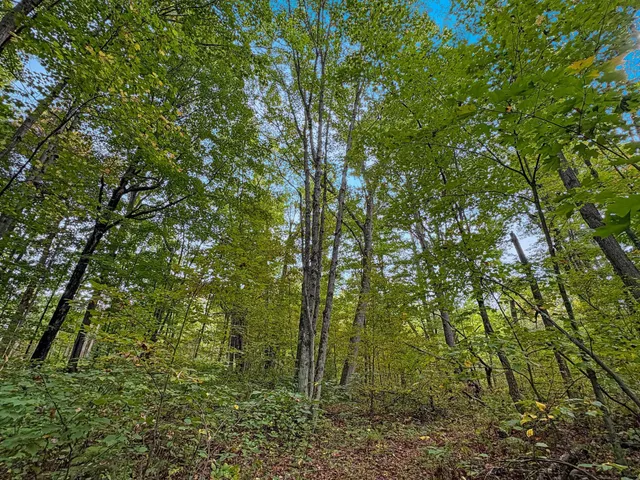 $120,000 | Tbd Bean Brk Lane, Stone Lake, WI 54876