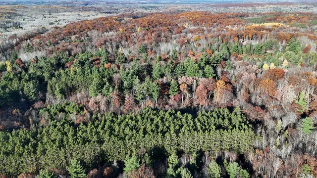 $120,000 | Tbd Bean Brk Lane, Stone Lake, WI 54876