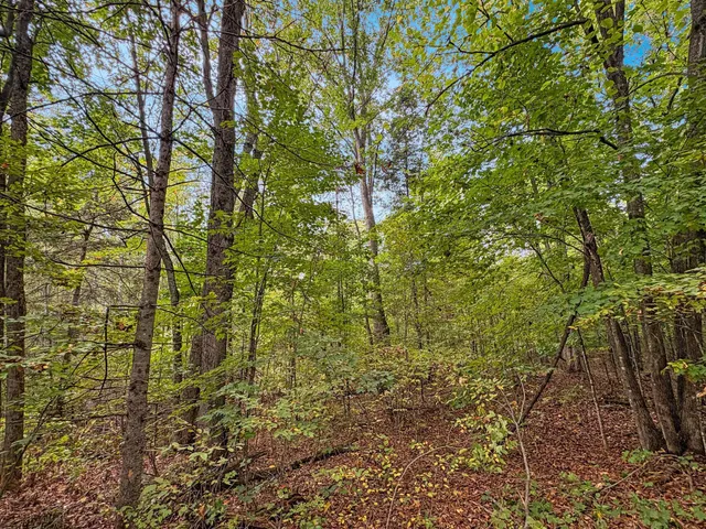 $120,000 | Tbd Bean Brk Lane, Stone Lake, WI 54876