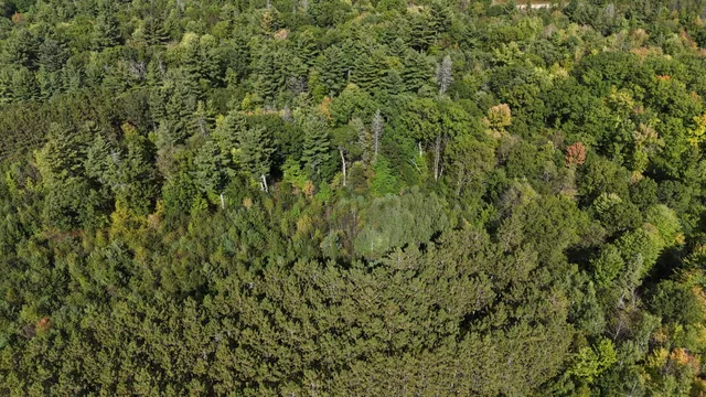 $120,000 | Tbd Bean Brk Lane, Stone Lake, WI 54876