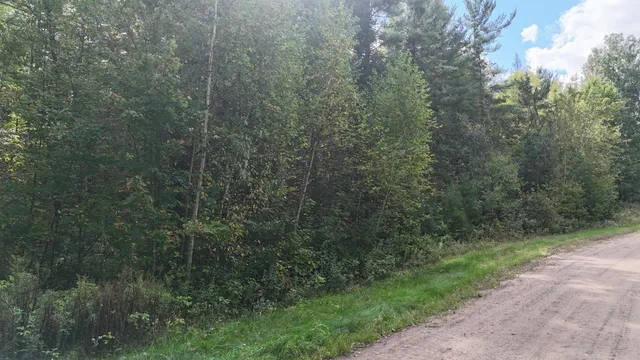 $120,000 | Tbd Bean Brk Lane, Stone Lake, WI 54876
