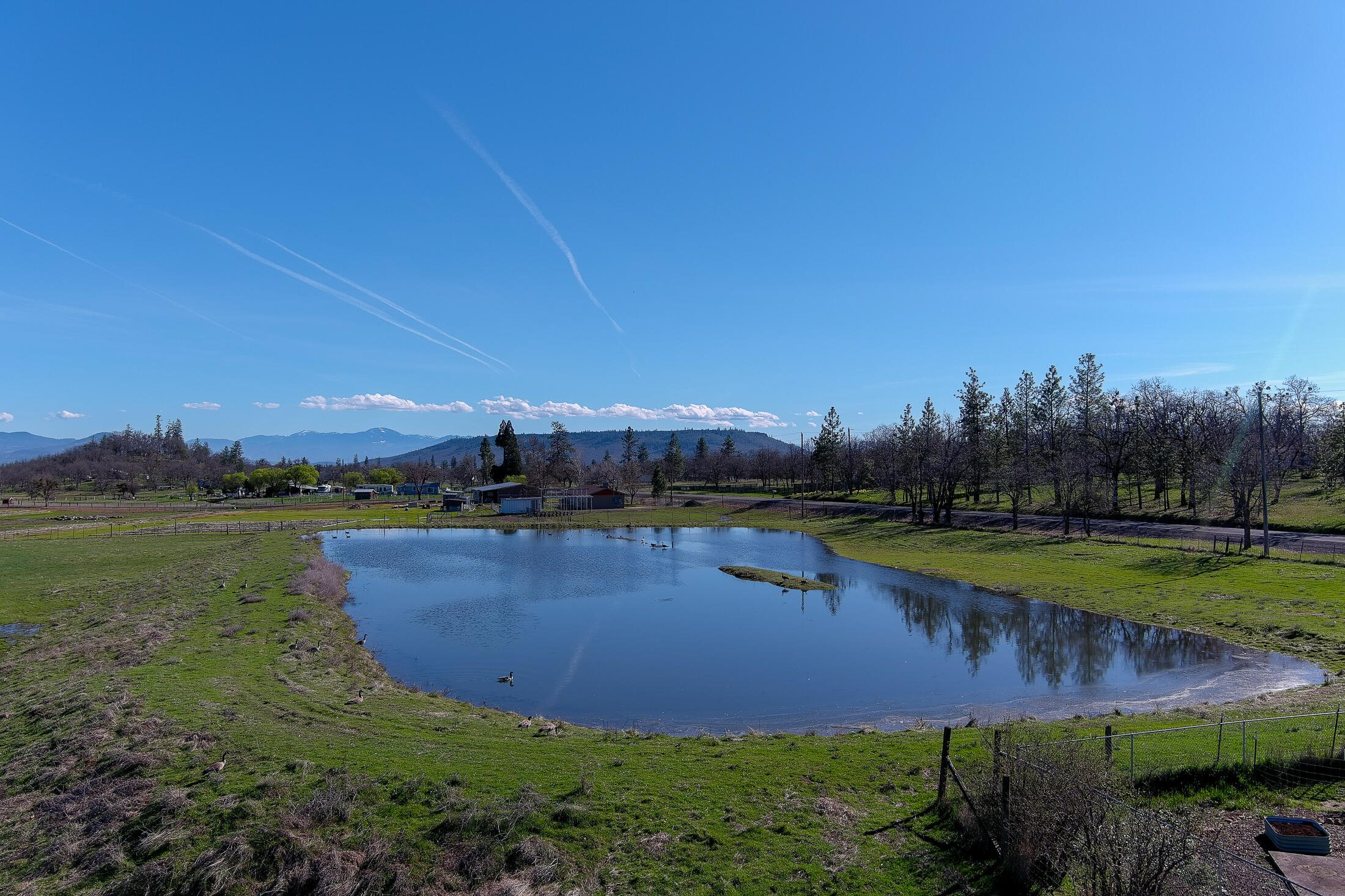 15882 Antioch Road White City, OR 97503 - Photo 4 of 49 a view of a swimming pool with a yard