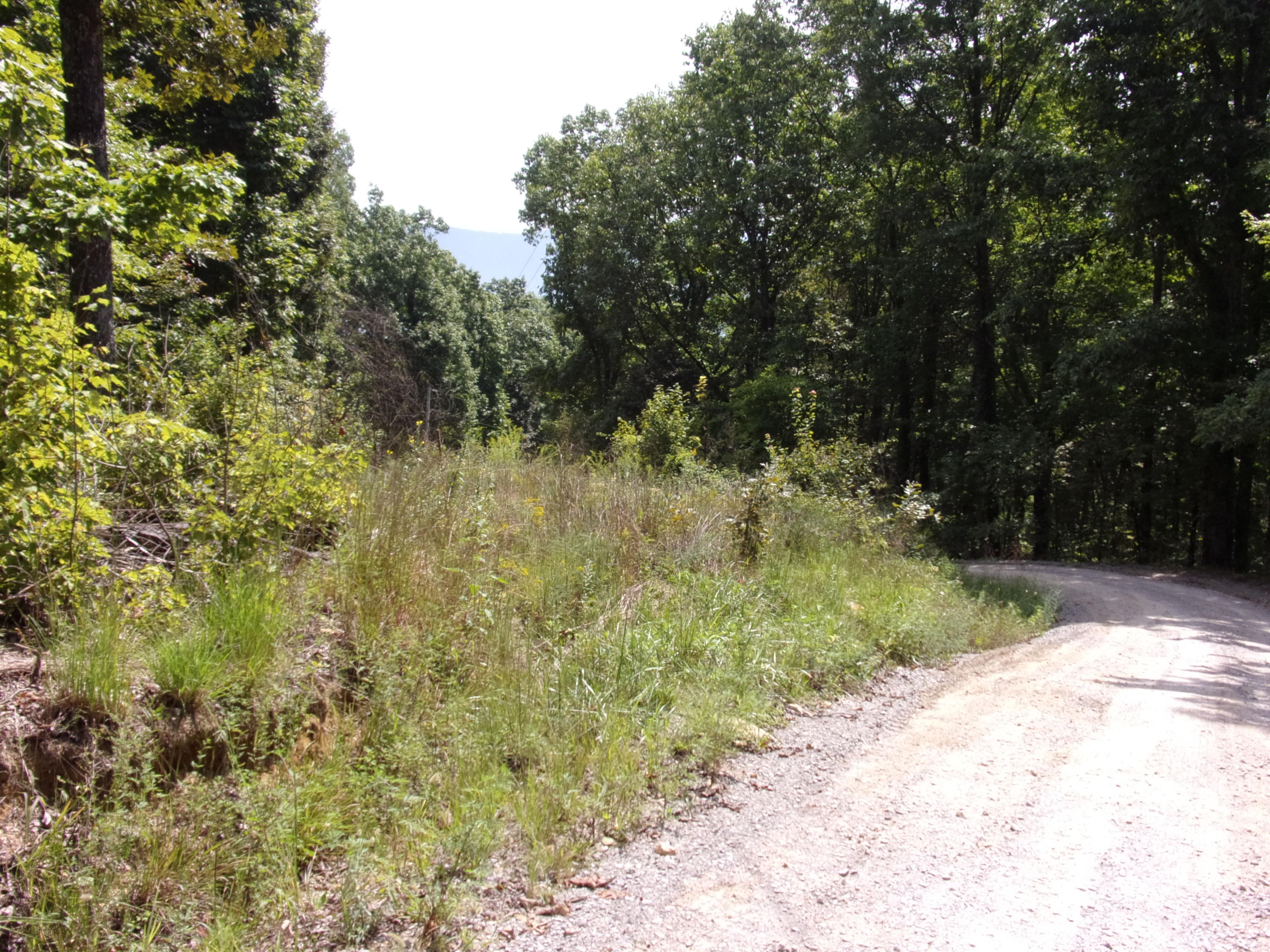 15 Overview Road Crossville, TN 38572 - Photo 18 of 44 101_1497
