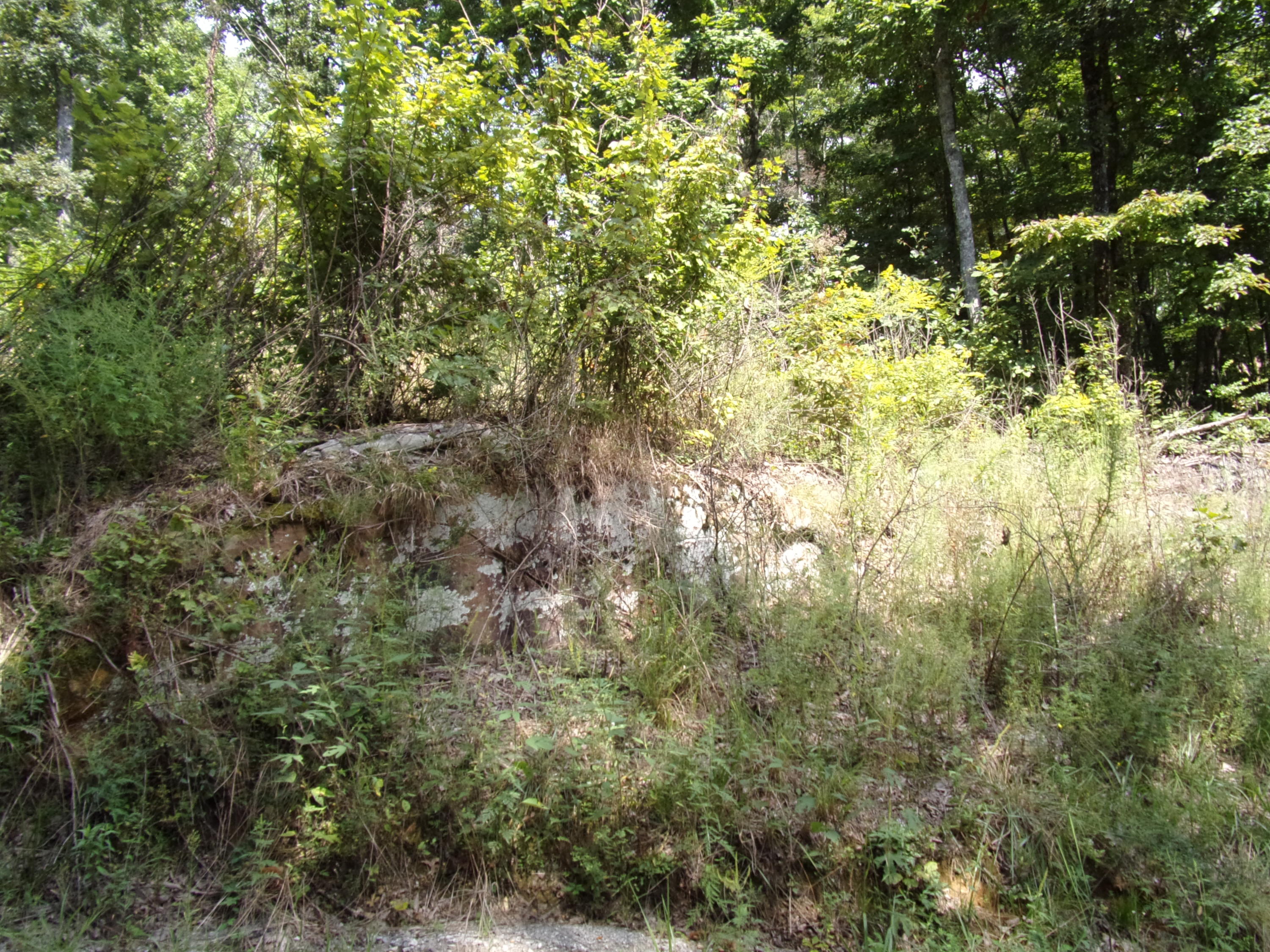 15 Overview Road Crossville, TN 38572 - Photo 19 of 44 101_1498