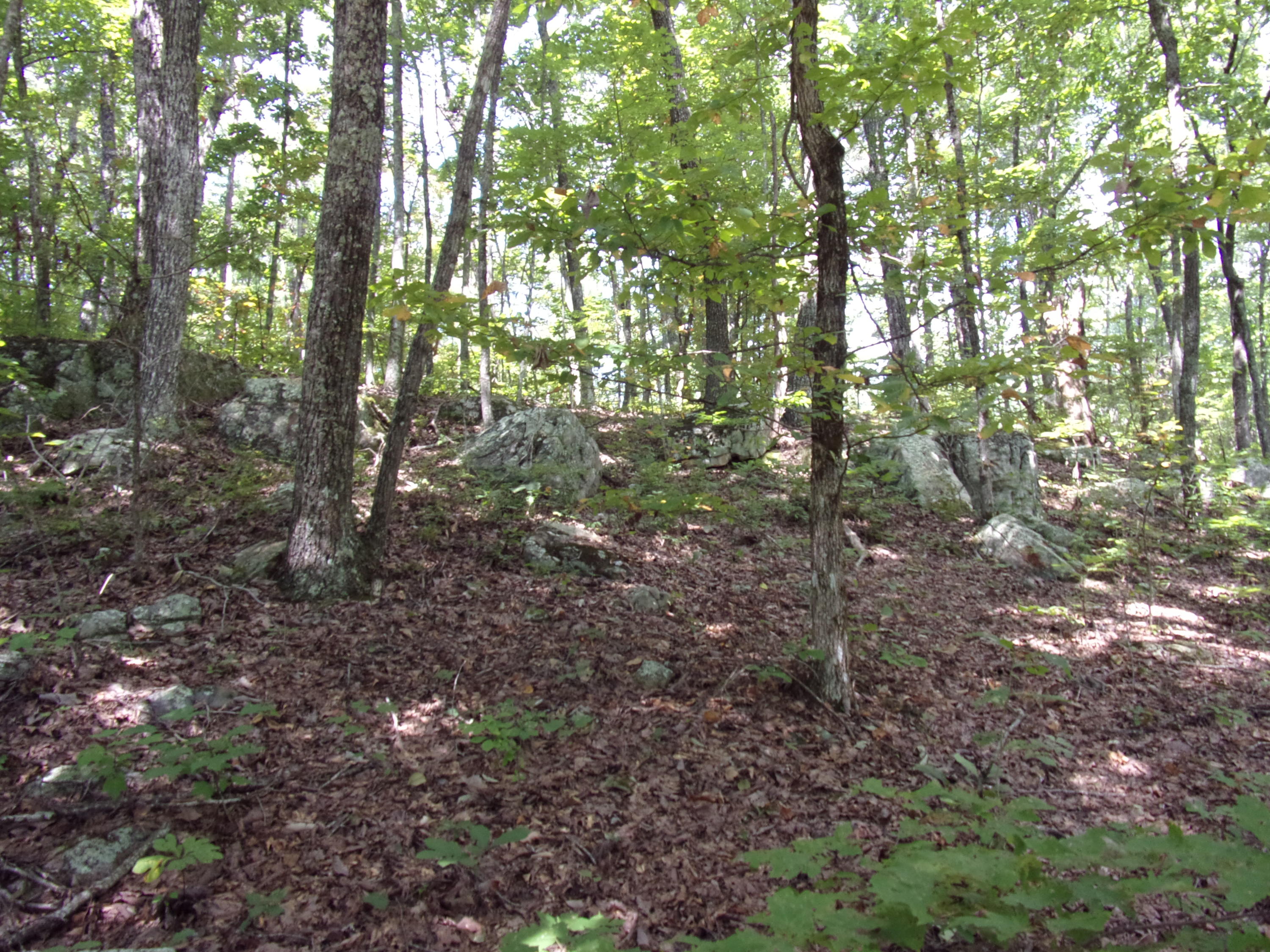 15 Overview Road Crossville, TN 38572 - Photo 20 of 44 101_1499