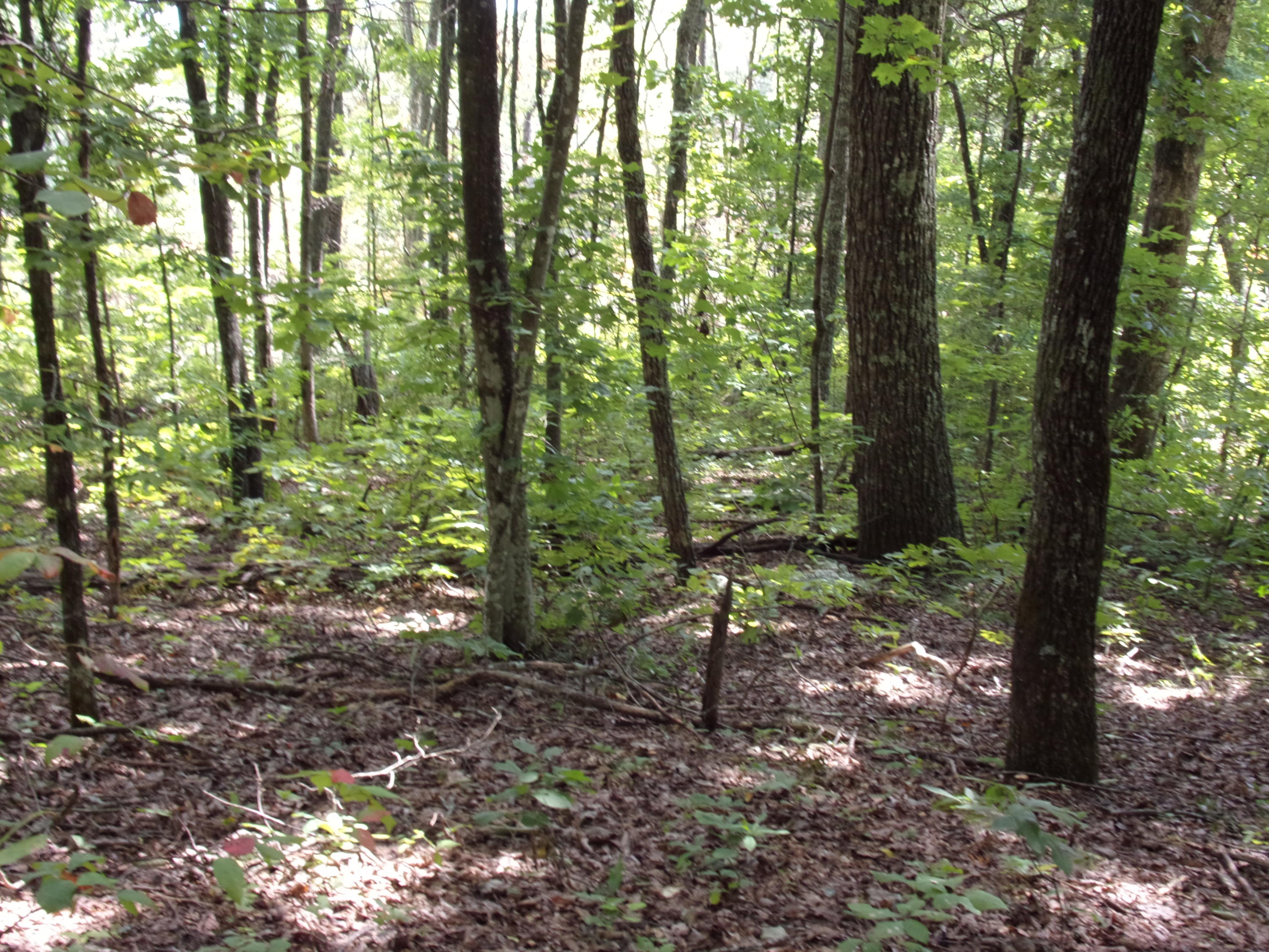 15 Overview Road Crossville, TN 38572 - Photo 22 of 44 101_1501