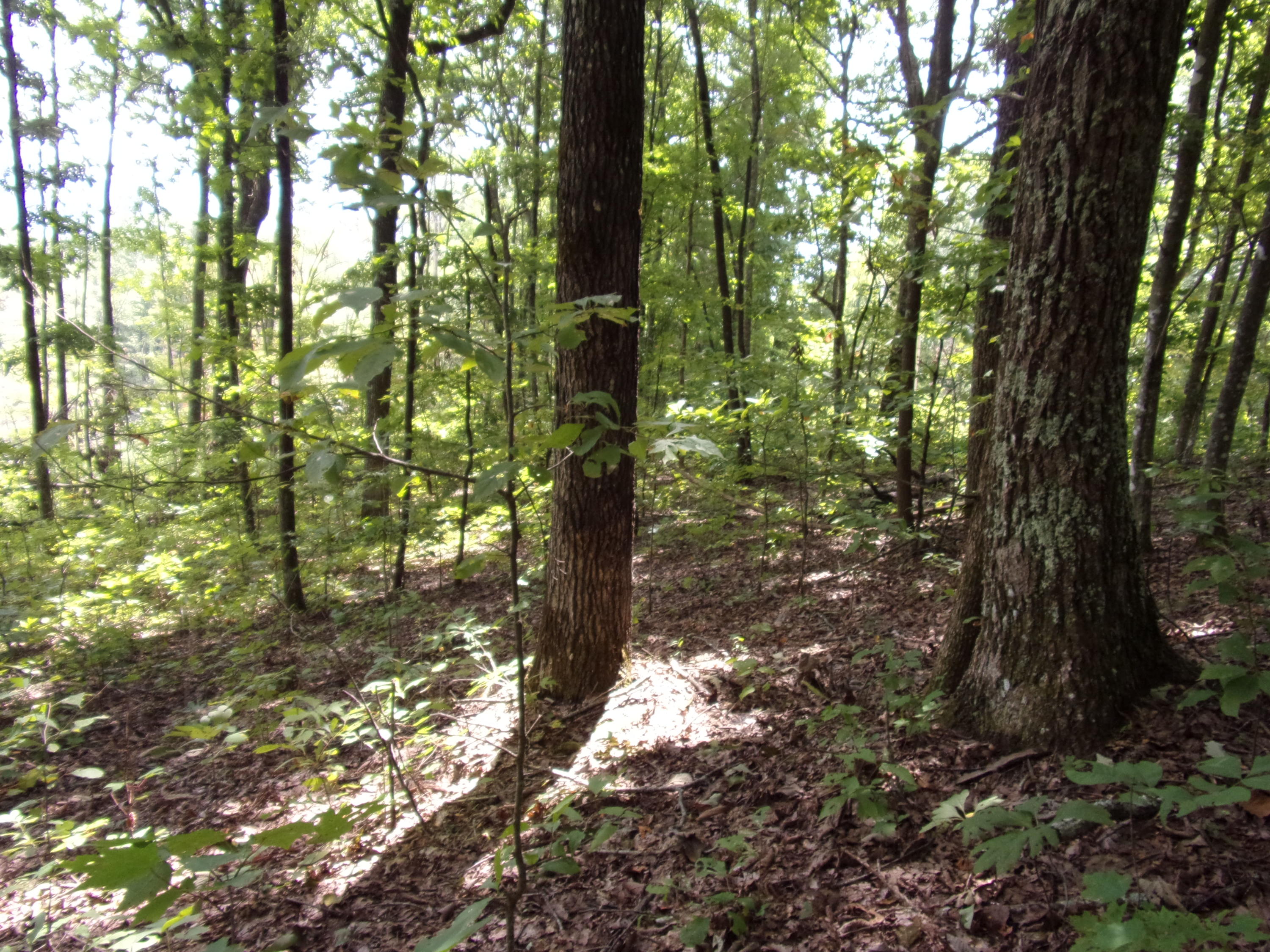 15 Overview Road Crossville, TN 38572 - Photo 24 of 44 101_1504