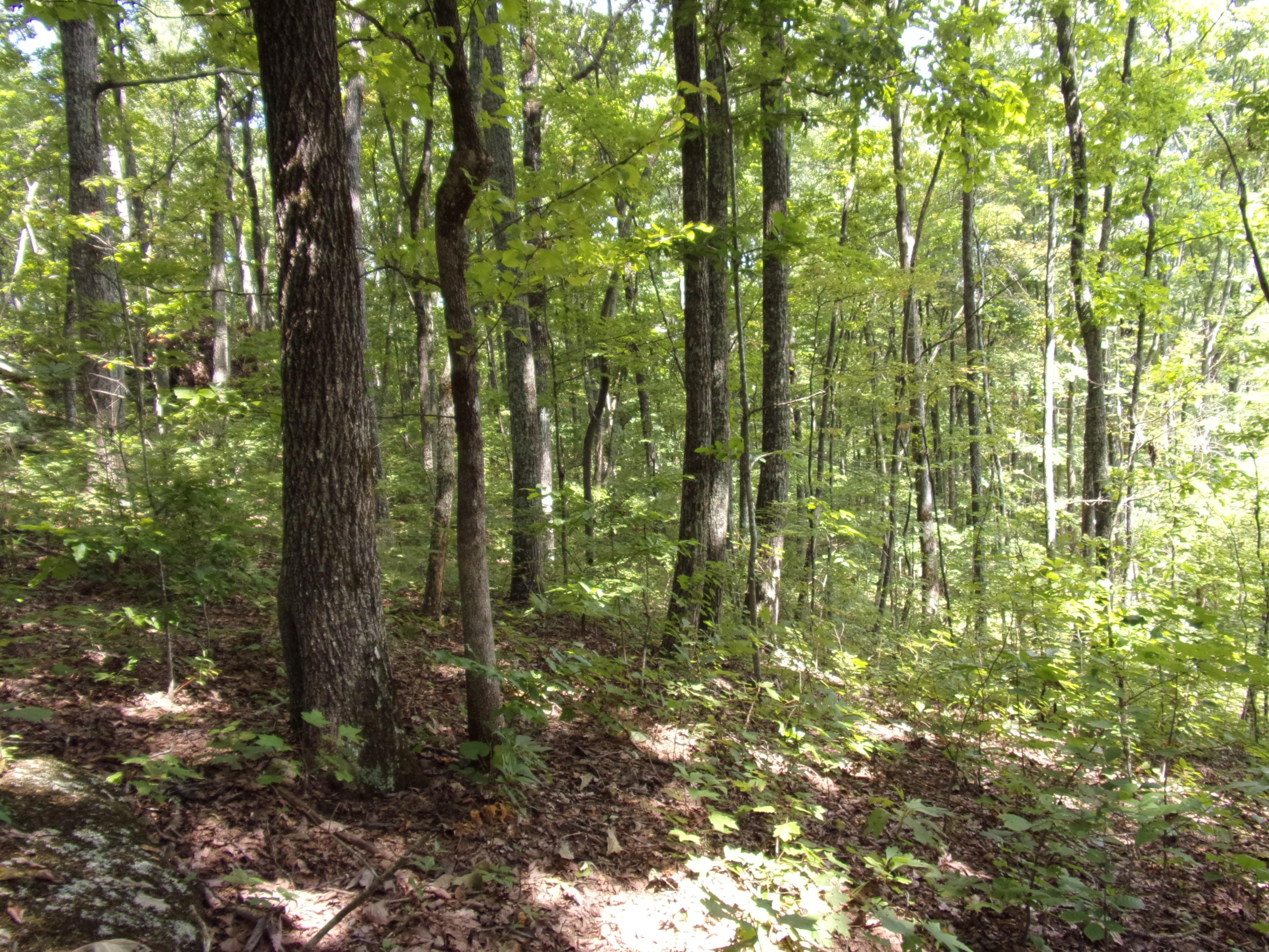 15 Overview Road Crossville, TN 38572 - Photo 25 of 44 101_1505