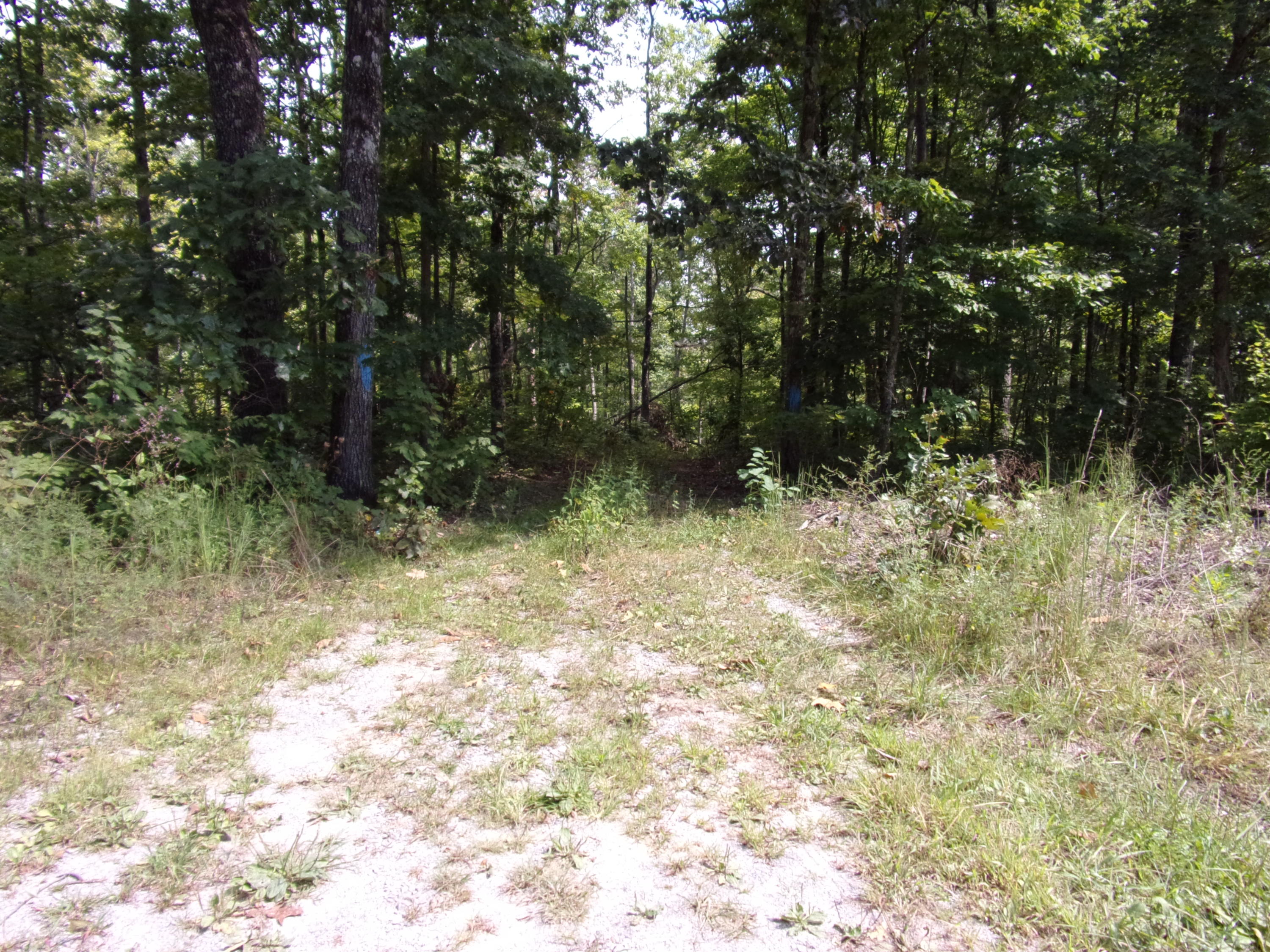 15 Overview Road Crossville, TN 38572 - Photo 27 of 44 101_1507