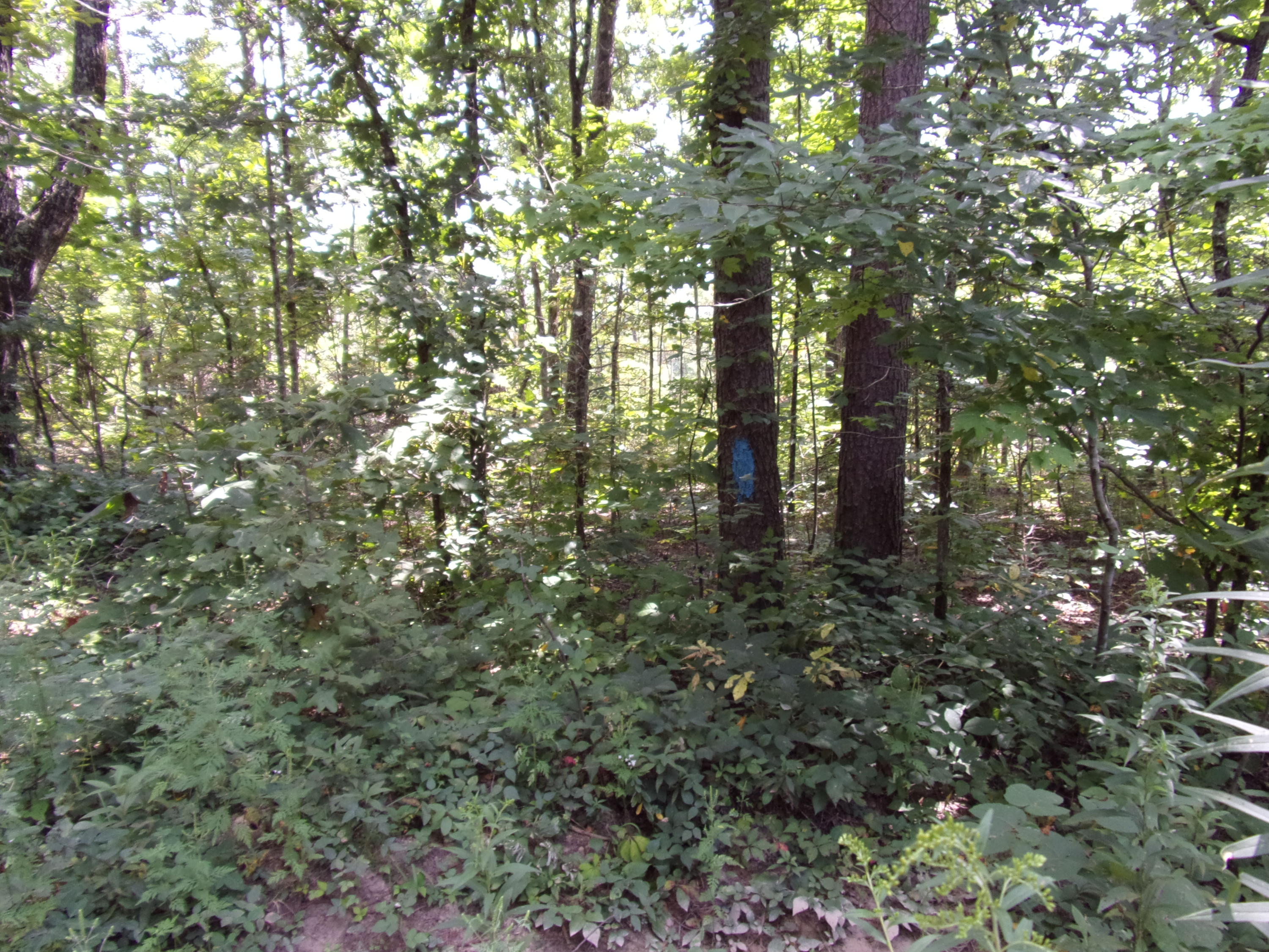 15 Overview Road Crossville, TN 38572 - Photo 30 of 44 101_1511