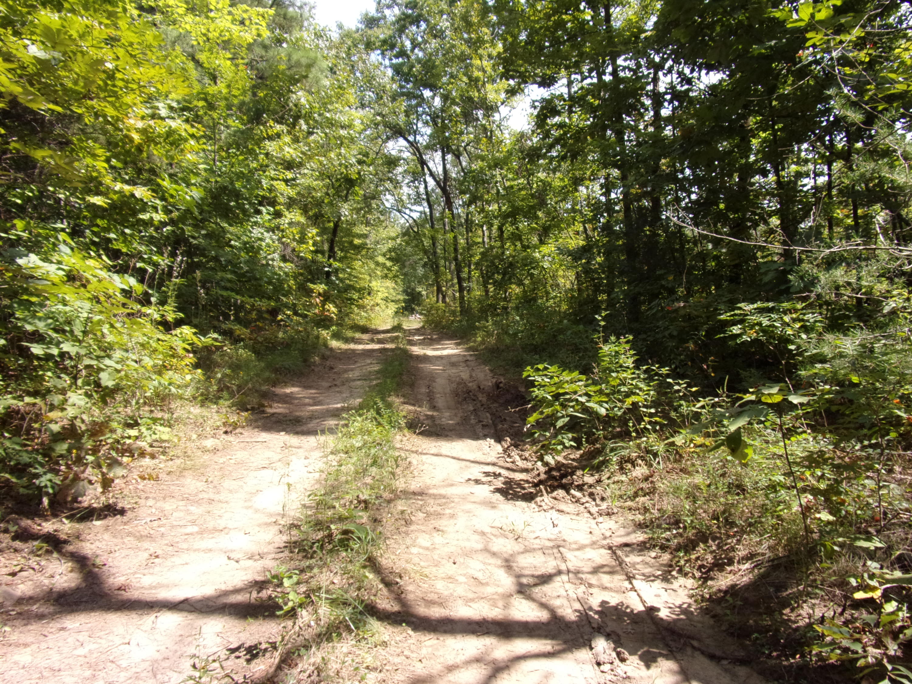 15 Overview Road Crossville, TN 38572 - Photo 31 of 44 101_1512