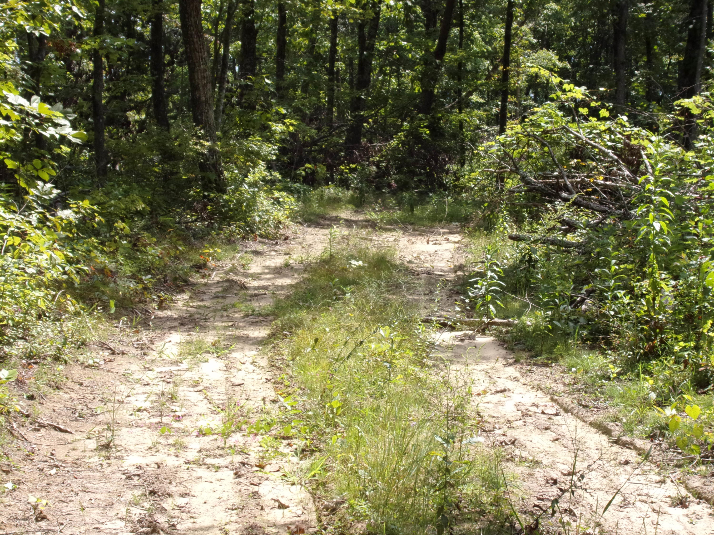 15 Overview Road Crossville, TN 38572 - Photo 33 of 44 101_1515
