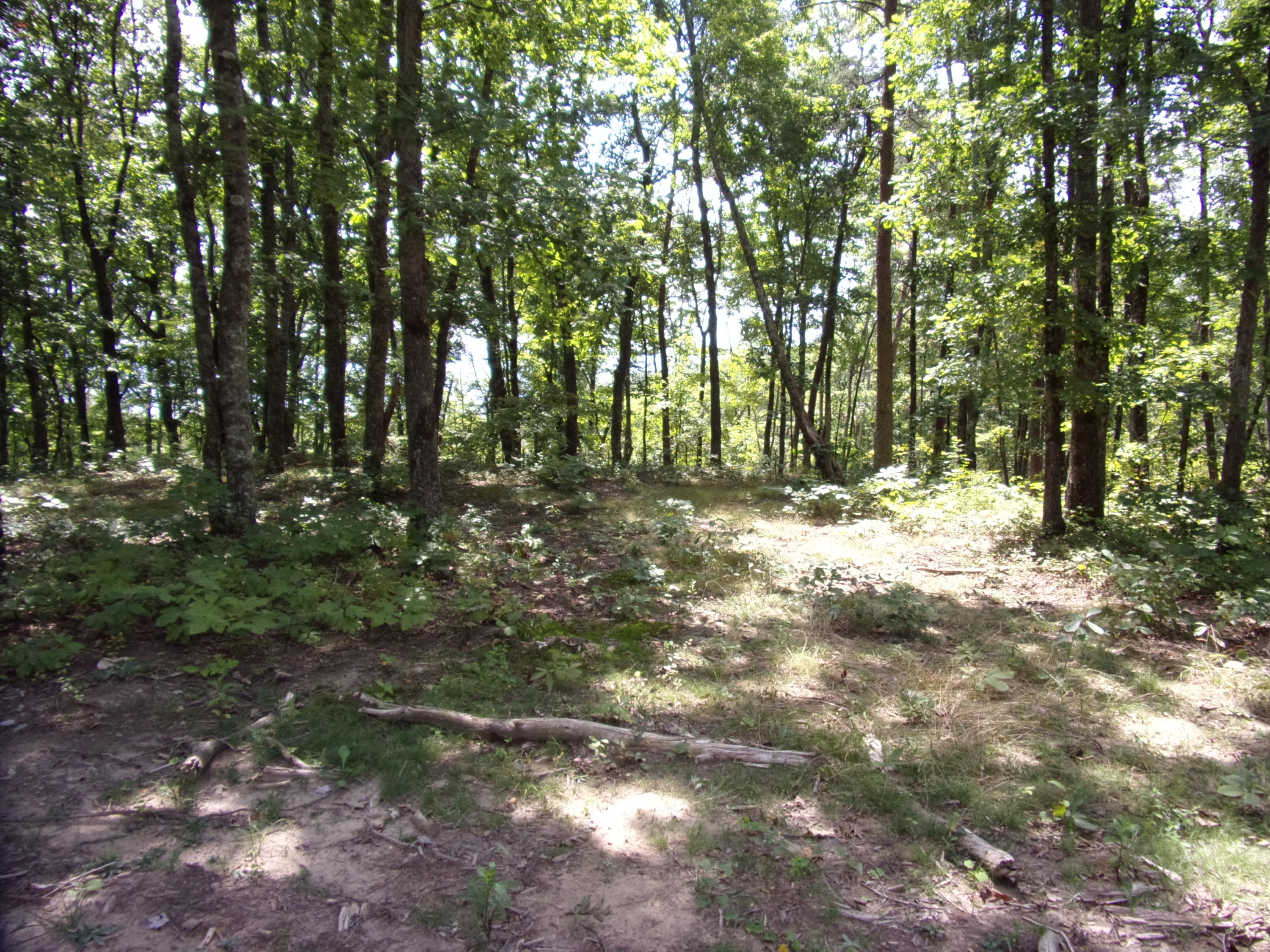 15 Overview Road Crossville, TN 38572 - Photo 36 of 44 101_1519